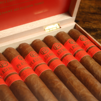 Plasencia Exclusive Dominique Seleccion 2021 Lancero Cigar - 1 Single